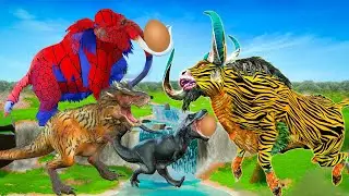 5 Giant Dinosaurs vs Zombie Tiger Bull Fight Cartoon Cow Rescue Saved By Woolly Mammoth Animal Fight