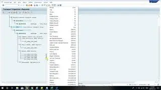 SAP + Transport of copies