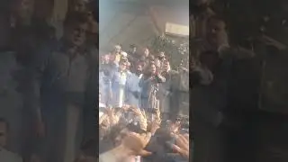 مشیر وزیر اعظم شہباز شریف صاحب نے پنڈال میں پہنچ کر مذاکراتی کمیٹی میں قائدین کو دعوت دے دی