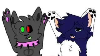 DONT STOP (collab)