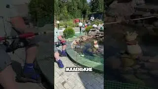 Семейный клоун 🤡