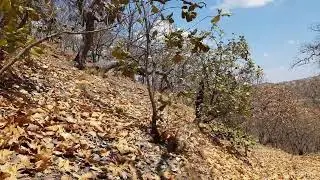 el calor veraniego