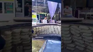 тандир сомса