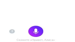 Вопрос века спрашиваемый у Алисы