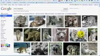 New Google Image Search