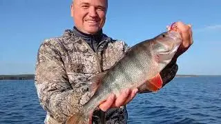 Попали на раздачу! Огромные окуни с каждого заброса! Рыбалка в Пермском крае! Судак на джиг!
