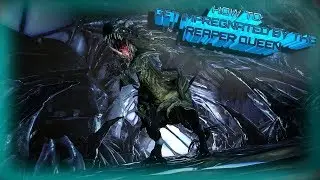 HOW TO GET IMPREGNATED BY A HIGH LEVEL REAPER QUEEN! RAGNAROK ARK SURVIVAL EVOLVED w/ Raising
