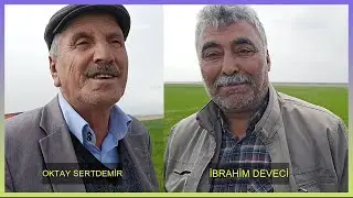 600 KUZULU KOYUN, EKİNLERE BIRAKMIṢ, BÜYÜK TÜCCAR İBRAHİM DEVECİ VE OKTAY SERTDEMİR