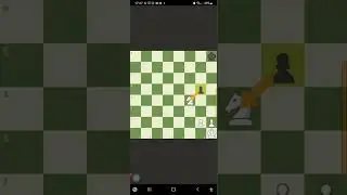 Гайд по шахматам. Как давать шах в шахматах?