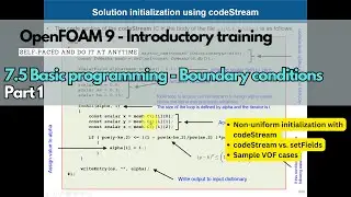 7.5 Module 7 - Non-uniform initialization with codeStream 