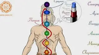 SEXUAL ENERGIES, MALE AND FEMALE - WHAT WE DIDN'T KNOW ABOUT MANAGING THEM