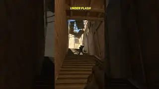 Donk Under Flash Mirage CS2 