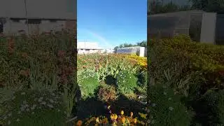 Солнечный день и радуга.
