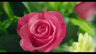 DJ music sound effect mix FX bass boost remixes 2021 (blossom)