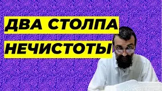 Глава Толдот: интересные моменты
