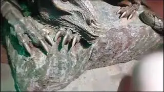 Бестеарий сказочные существа (СПб.) Райская атмасфера (2)