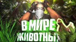 В мире животных | CS:GO (Спасибо за 50 сабов :3)