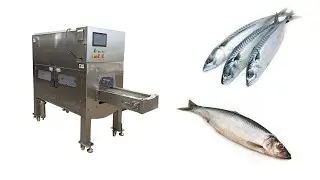 Многофункциональная чешуесъёмная машина VOLTEK VG 658