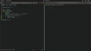 Intro to Python chapter 2.3, Building a timer