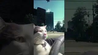 КАК ВЫЖИТЬ В ТАРКОВЕ 