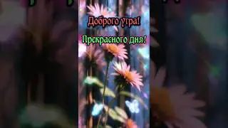 Доброго утра прекрасного дня #сдобрымутром #доброеутро #позитив #shorts