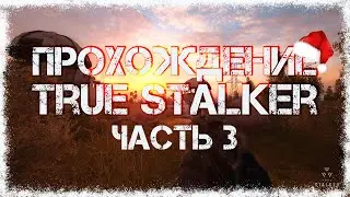 Прохождение True Stalker #3 - Странные свечения