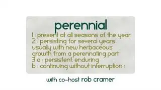 Design Diary 176: Perennial (with co-host Rob Cramer)