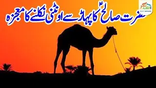 Qasas ul Anbiya - Hazrat Saleh AS - Alif Nagar Official