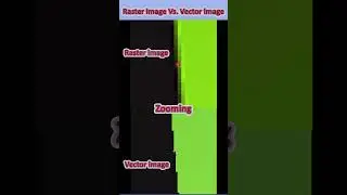 Zooming in a raster image vs a vector image