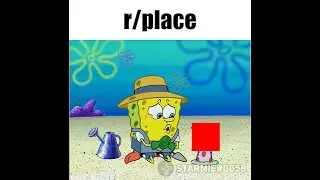 r/place
