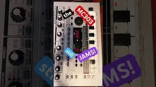 The Roland MC-303 still jams a grungy punchy 90s House Beat! #synthesizer #303