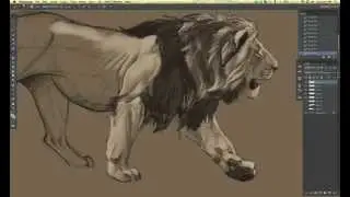 Time lapse lion drawing in Photoshop CS6