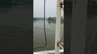 Chennai rain today live news | Water 4m Chembarambakkam lake to Adayar river 1 #shorts #சென்னை #மழை