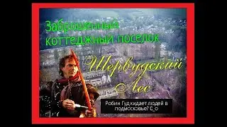 Заброшенный жилой коттеджный комплекс Шервудский Лес