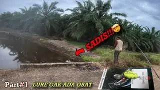 OneCast‼️ GABUS DISAWITAN HASNUR MEMANG G111LAKKKK || Casting Gabus