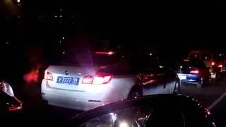 У7777 99 перевозит даму с собачкой в салоне