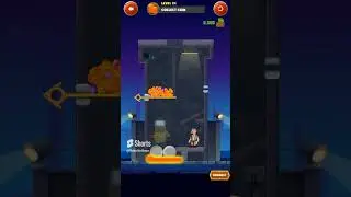 Wisdom Escape Prison level 24