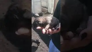 а у нас пополнение ))