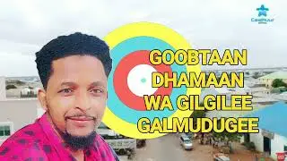 GALMUDUG_FAAFOW XAASHKA