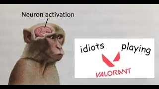 I Played VALORANT for the *First Time* (with idiots)
