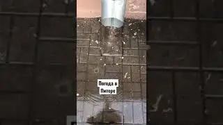 Погода в Питере на сегодня. 