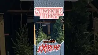 Stranger Things Fright Fest Maze at Six Flags Great Adventure! | #shorts