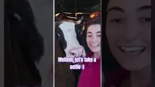 Turkish girl takes selfie with her cow friend 'Meltem' in their farm in Türkiye 🇹🇷 #selfie #shorts