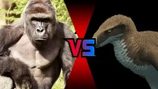 utahraptor vs gorila - quem vence? (BS #1 Temporada 2)
