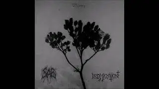 03. Decomposition - Left To Rot Alone