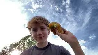 Big Mac OUTSIDE