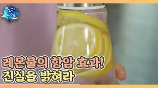 레몬물의 항암 효과! 진실을 밝혀라 MBN 211119 방송