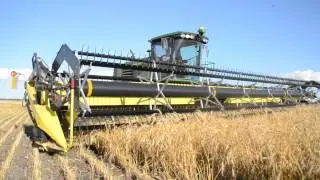Swathing wheat and canola - A.B Dunsmore and Sons