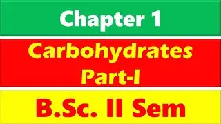 Carbohydrates in Hindi- Part I | BSc II Sem | Chemistry of Glucose | Glucose in Hindi