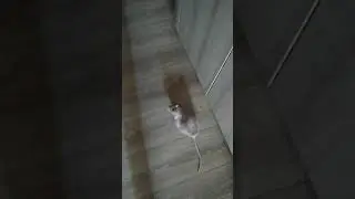 Движение - жизнь))